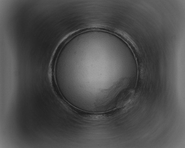 X0000100961024200807151353