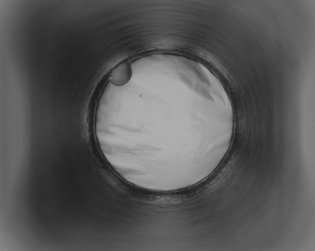 X0000100961026200807151354