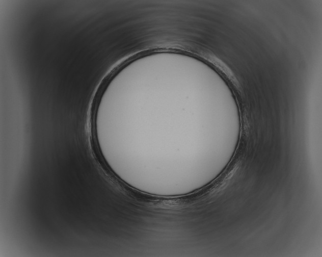 X0000100961028200807151354