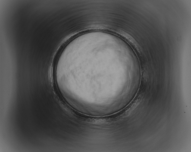 X0000100961030200807151354