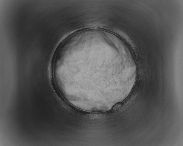 X0000100961032200807151354