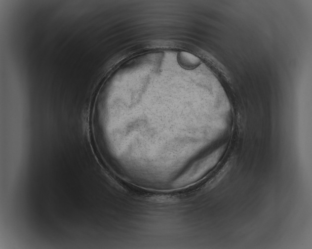 X0000100961033200807151354