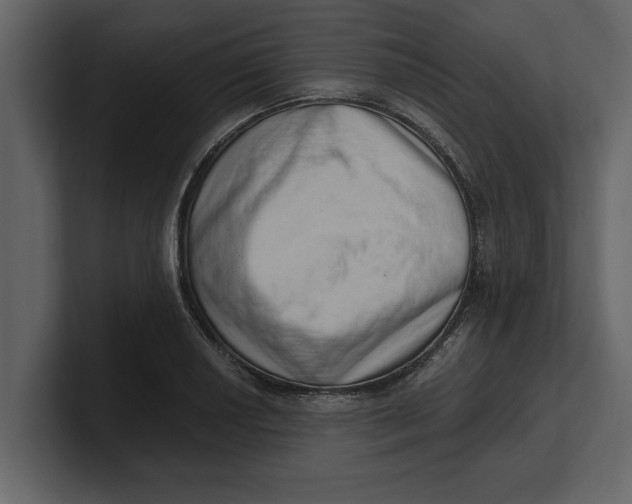 X0000100961034200807151354