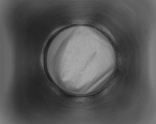 X0000100961035200807151354