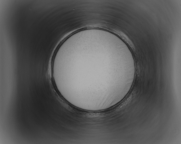 X0000100961036200807151354