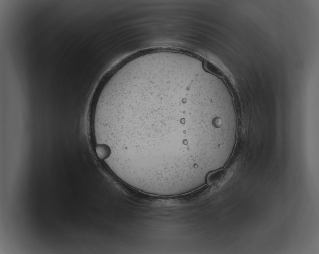 X0000100961037200807151354