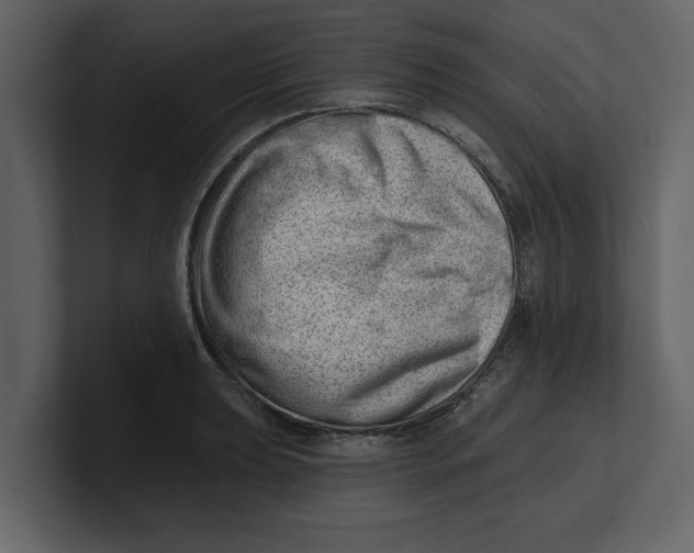 X0000100961039200807151354