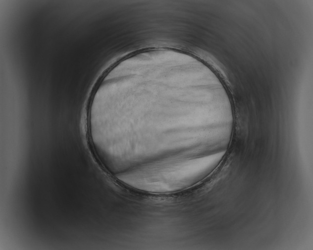 X0000100961040200807151354