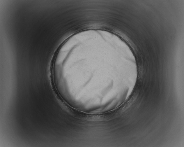 X0000100961042200807151354