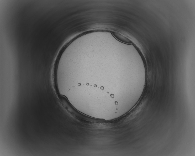 X0000100961045200807151354