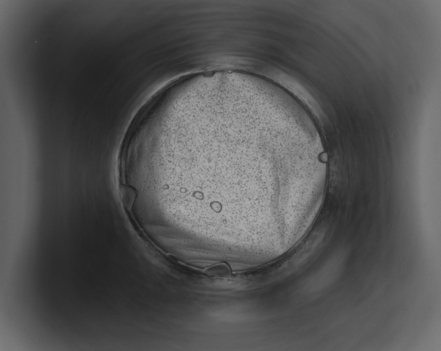 X0000100961047200807151354