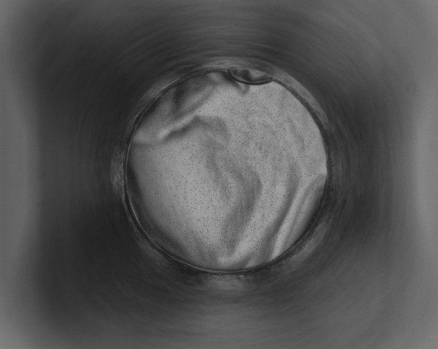 X0000100961049200807151354