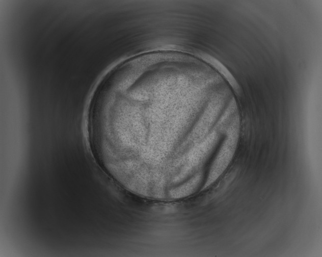 X0000100961051200807151354