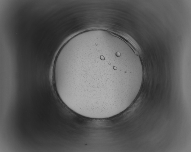 X0000100961052200807151354