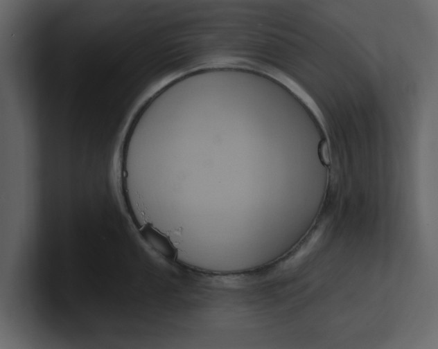 X0000100961053200807151354