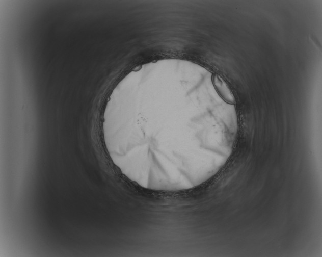 X0000100961057200807151353