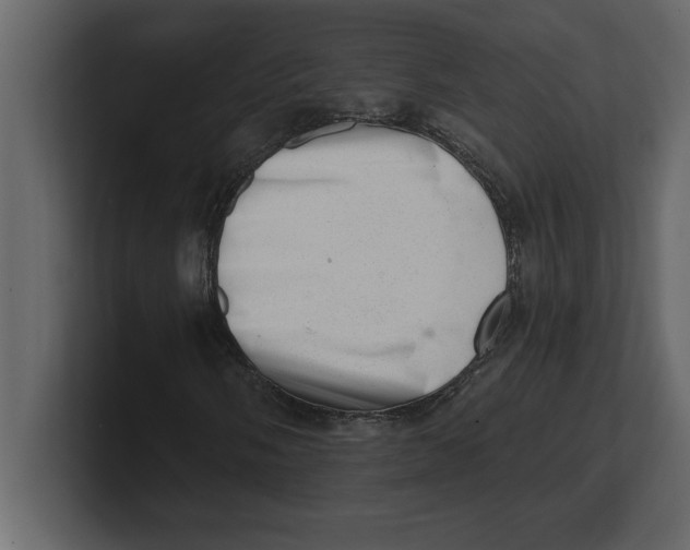 X0000100961058200807151353