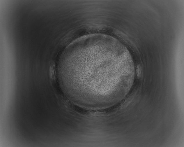 X0000100961059200807151353