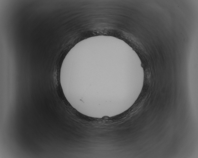 X0000100961060200807151353