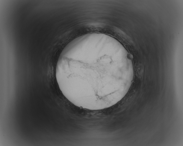 X0000100961061200807151353