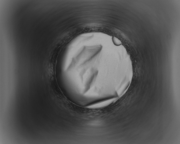 X0000100961062200807151353