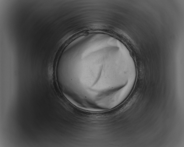 X0000100961065200807151353