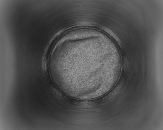 X0000100961067200807151353