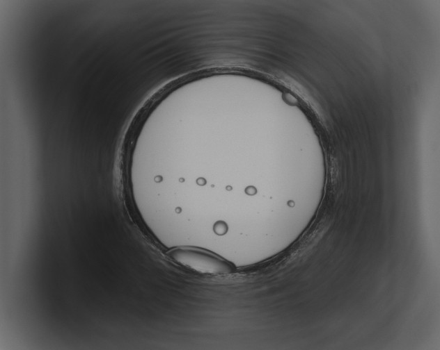 X0000100961068200807151353