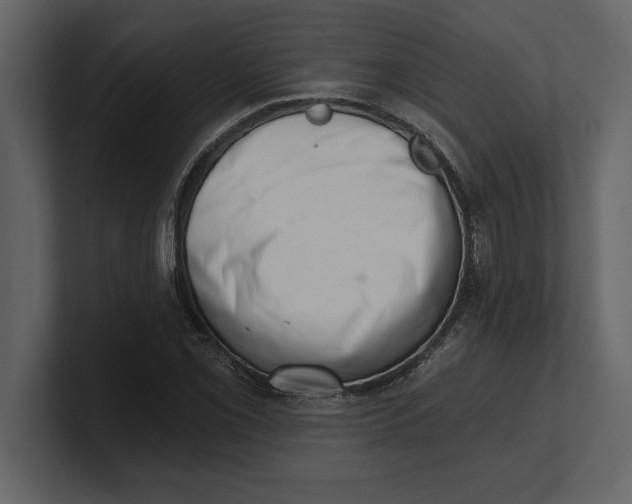 X0000100961069200807151353