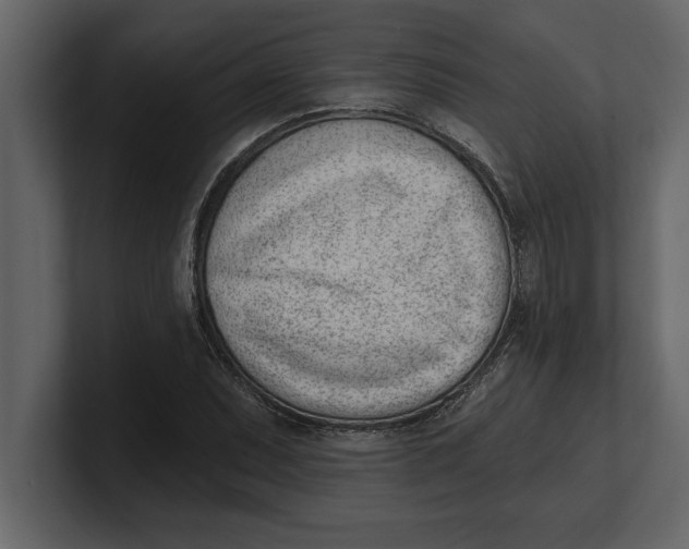 X0000100961071200807151353