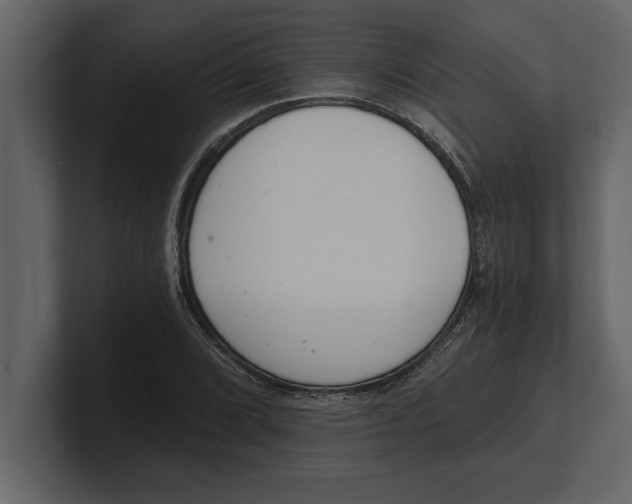 X0000100961072200807151353