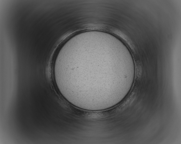 X0000100961074200807151353