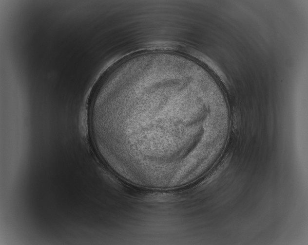 X0000100961075200807151353