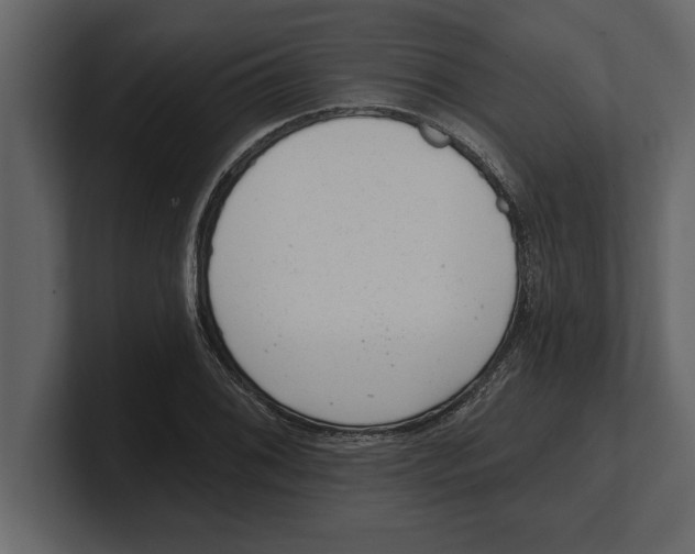 X0000100961076200807151353