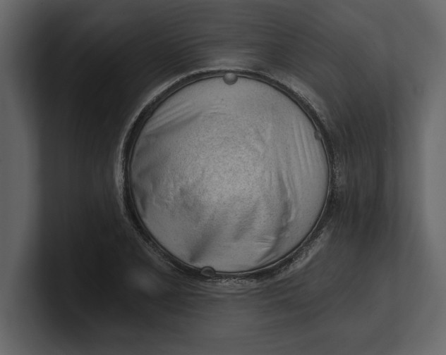 X0000100961077200807151353