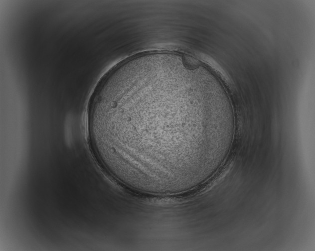 X0000100961079200807151353