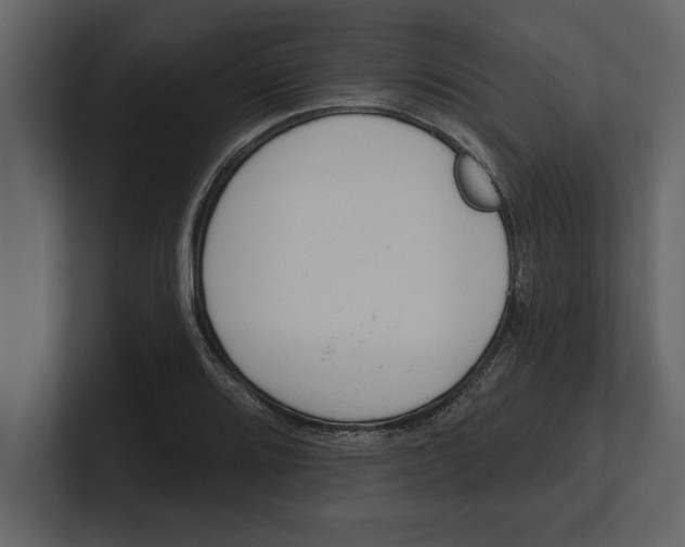 X0000100961080200807151353