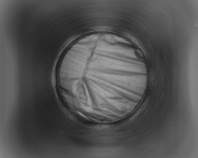 X0000100961082200807151353