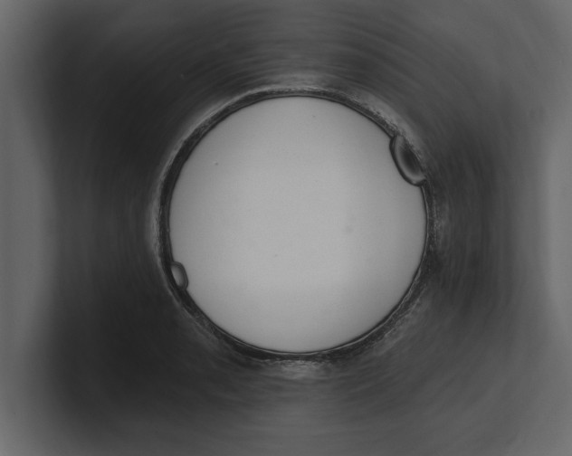 X0000100961085200807151353