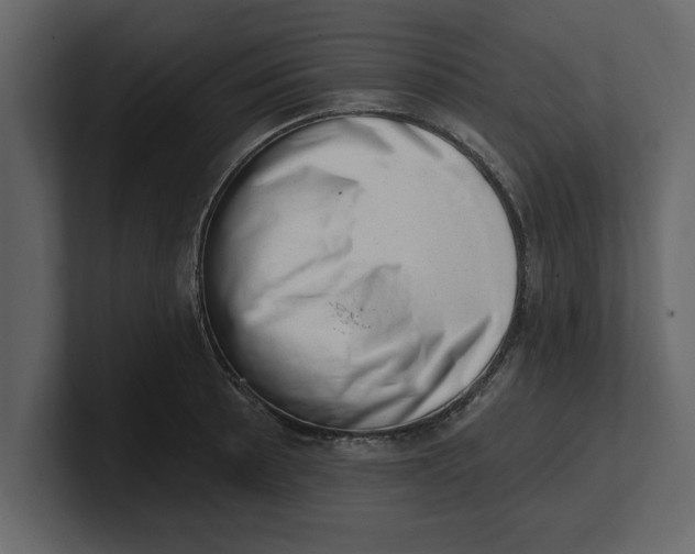 X0000100961089200807151353