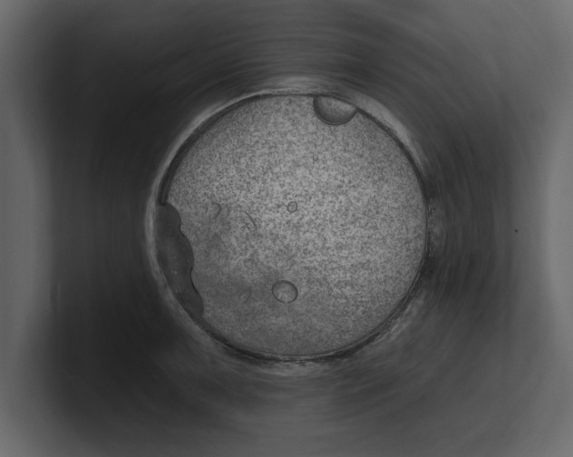 X0000100961091200807151353