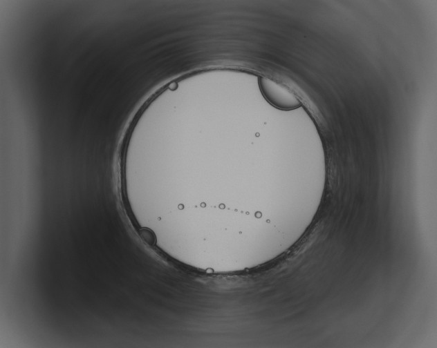 X0000100961092200807151353