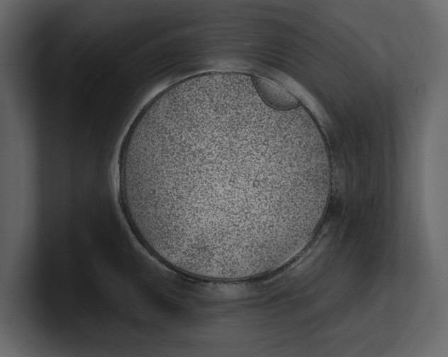 X0000100961095200807151353