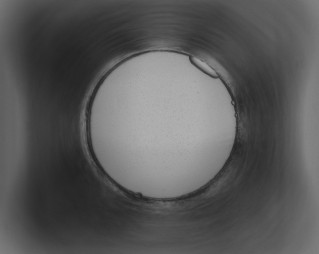 X0000100961096200807151353