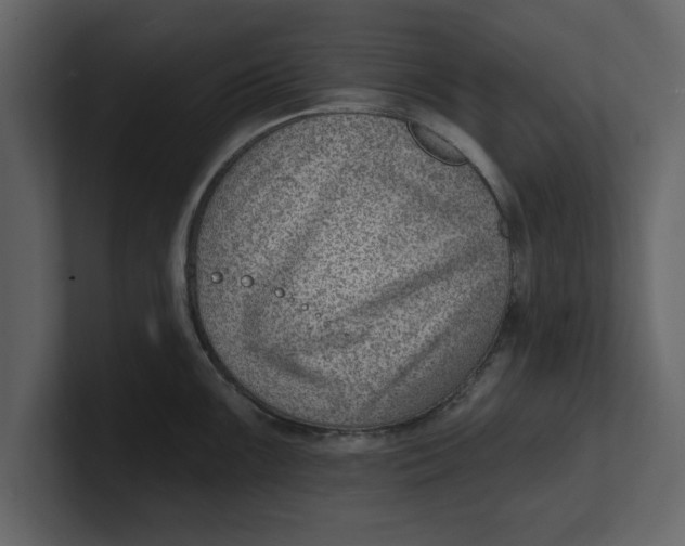 X0000100961099200807151353