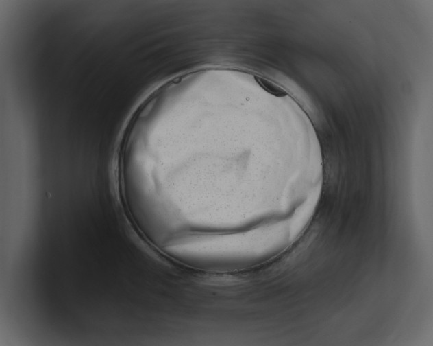 X0000100961100200807151353