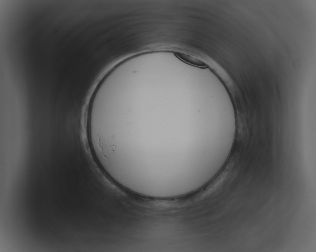 X0000100961102200807151353