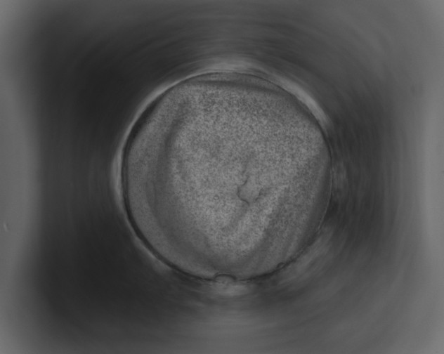 X0000100961103200807151353