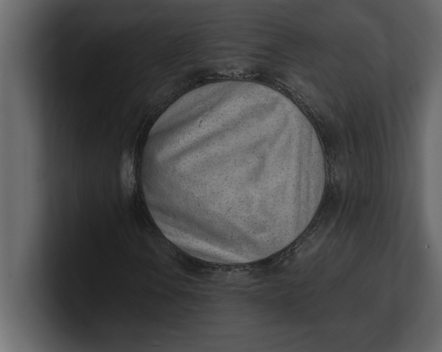 X0000100961106200807151352