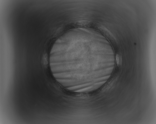 X0000100961107200807151352